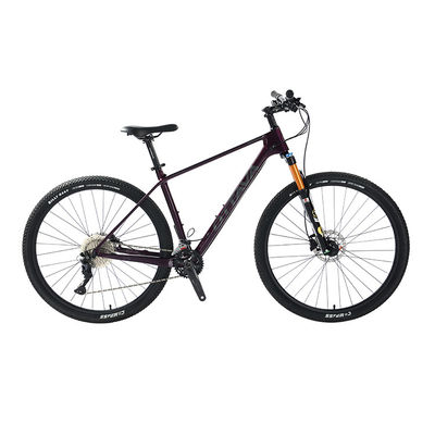 29" Kohlenstofffaser Mountainbike mit Shimano 22s Deore-Teilen Anpassbar