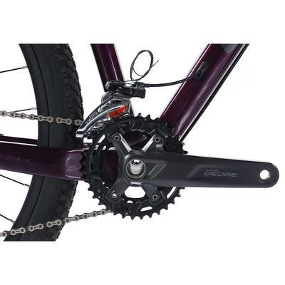 29" Kohlenstofffaser Mountainbike mit Shimano 22s Deore-Teilen Anpassbar