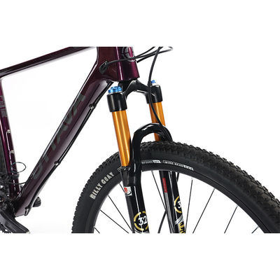 29" Kohlenstofffaser Mountainbike mit Shimano 22s Deore-Teilen Anpassbar