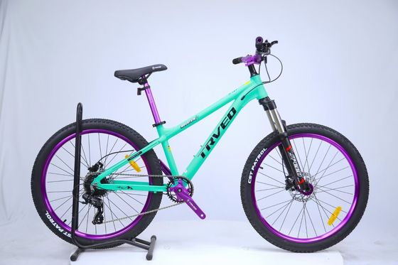 150KG Load Capacity Sports Mountain Bike Steel Fork and Ordinary Pedal for Riding Experience