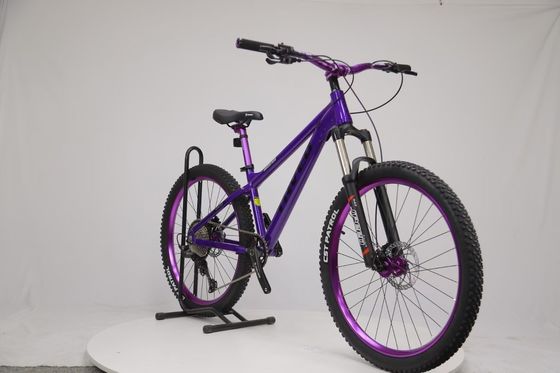 Erleben Sie die Freiheit des Mountainbikens mit Sports Mountain Bike 8/9 Geschwindigkeiten Dirt Jumper MTB