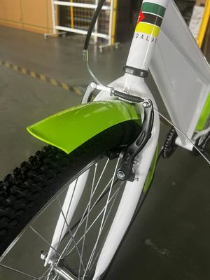 26 Zoll AD-Board Werbefahrrad Eingeschwindigkeits-Stadtrad Werberad