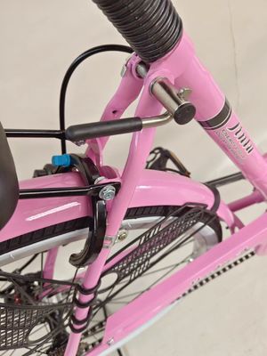 24-Zoll-Stadtfahrrad Ein-Geschwindigkeits-Stadtfahrrad Scheibenbremse mit Dynamo-Licht