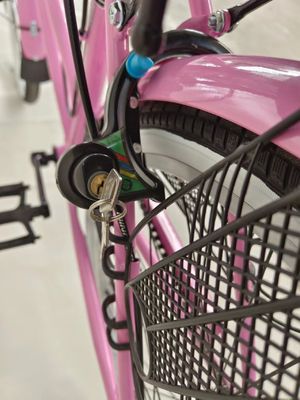 24-Zoll-Stadtfahrrad Ein-Geschwindigkeits-Stadtfahrrad Scheibenbremse mit Dynamo-Licht