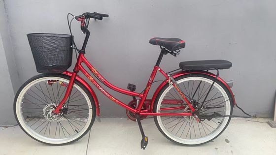 24-Zoll-Frauenrad mit Hinterhalter Elegantes Damenrad Bicicleta Urbana Femenina Klassiker Frauenrad