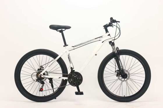 54 cm Rahmengröße Rennrad mit ZOOM hydraulischer Bremse, die Bremskraft für Straßenrennen bietet