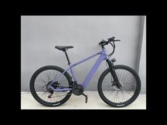 EBike1zhu